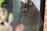 Фотография Соцковой Лены