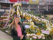 Фотография Arakawa Гульнары