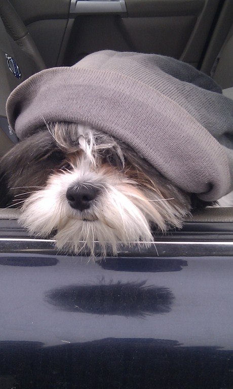 Иван Царёв фотография #48