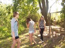 Лілюська Love фотография #45 (источник - https://vk.com/id154400858)