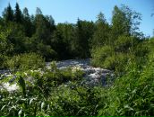 Роман Балов фотография #47 (источник - https://vk.com/id348393)