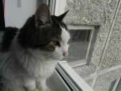 Фотография Курбатовой Ксении