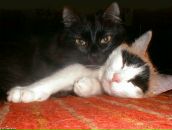 Фотография Вольфцун Ольги