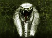 Фотография Силиной Анастасии