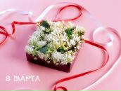 Юлія Микула фотография #19 (источник - https://vk.com/id93683407)