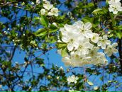 Юлія Микула фотография #21 (источник - https://vk.com/id93683407)