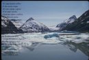 Ллила Ллила фотография #8 (источник - https://vk.com/id8544898)