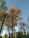 Евгения Степанова фотография #20 (источник - https://vk.com/id28670746)