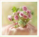 Фотография Кокиной Евгении