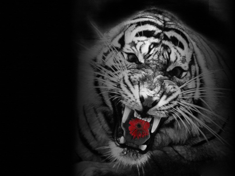 Дмитрий Лазарев фотография #38