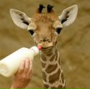 Андрій Чернецький фотография #22 (источник - https://vk.com/id101208189)