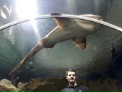 Фотография Никитина Сани