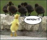 Олексій Друляк фотография #16 (источник - https://vk.com/id195772228)