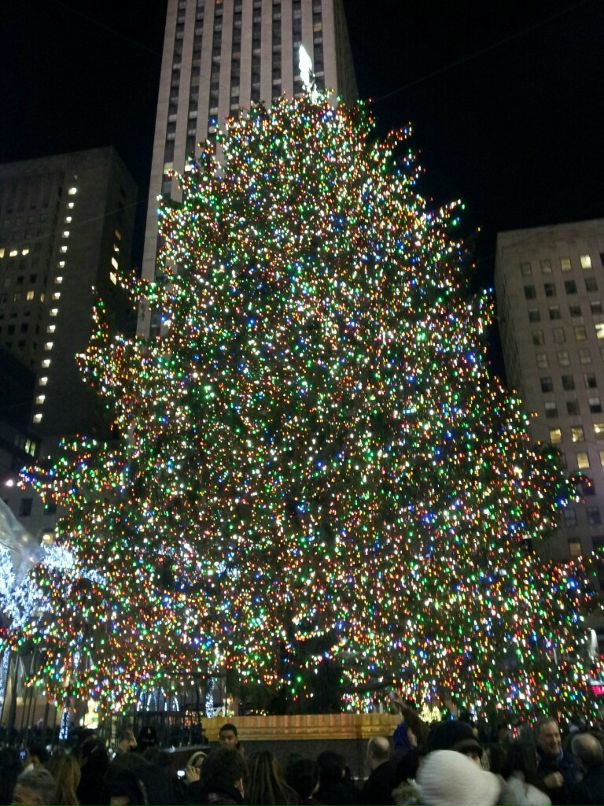 Саша Лоренцев фотография #16