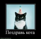 Фотография Владимировича Ильи