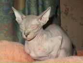 Фотография Муковниной Елены