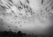 Фотография Наконечной Людмилы