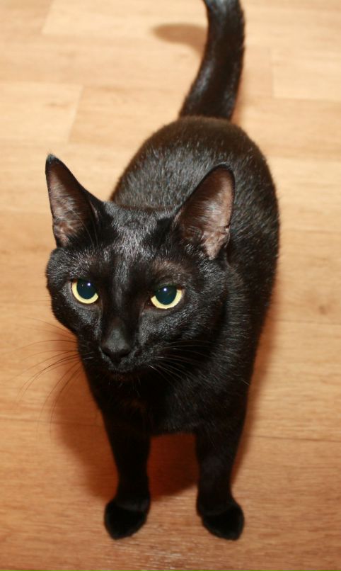 Алла Маркова фотография #36