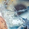 Денис Попов фотография #25 (источник - https://vk.com/id117542084)