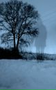 Фотография Рогозина Харитона