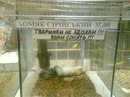 Роман Демків фотография #41 (источник - https://vk.com/id45628706)