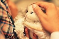 Алина Иванец фотография #11 (источник - https://vk.com/id59805437)