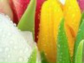 Алина Иванец фотография #9 (источник - https://vk.com/id59805437)