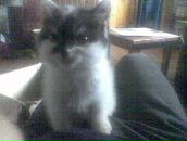 Марічка Ткач фотография #40 (источник - https://vk.com/id85134358)