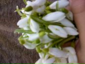 Андрій Тимцясь фотография #48 (источник - https://vk.com/id158684889)