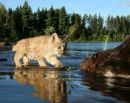 Фотография Мальцевой Людмилы