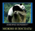 Костянтин Шалін фотография #41 (источник - https://vk.com/id34317568)