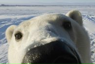 Фотография Бобкова Ольга