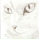 Фотография Ишутина Павла