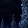 Аліна Тимків фотография #9 (источник - https://vk.com/id139039627)