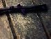 Богдан Сивків фотография #7 (источник - https://vk.com/id137202666)