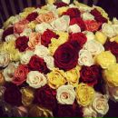 Фотография Нестеренко Антон