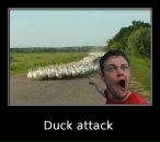 Dmitry Nonickname фотография #11 (источник - https://vk.com/id1664922)