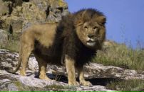 Юрій Кіраль фотография #13 (источник - https://vk.com/id22913482)