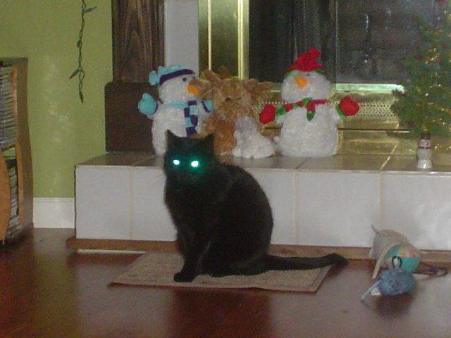 Igor Tarasov фото №46