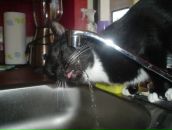 Igor Tarasov фотография #39 (источник - https://vk.com/id2694271)