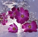 Діана Басалига фотография #27 (источник - https://vk.com/id143480562)