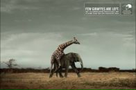 Фотография Белоусова Леонида