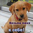 Лілька Андрійчук фотография #7 (источник - https://vk.com/id156287920)