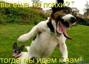 Ігор Крисенко фотография #46 (источник - https://vk.com/id64899113)