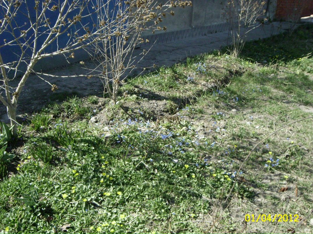 Сергей Мартынов фотография #14