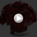 Андрій Слугоцький фотография #4 (источник - https://vk.com/id166363261)