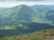 Вова Осійчук фотография #33 (источник - https://vk.com/id161444278)