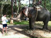 Фотография Вихорева Антона