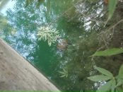 Юлія Потієвська фотография #19 (источник - https://vk.com/id2889548)