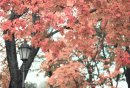 Антон Кудрис фотография #40 (источник - https://vk.com/id118735)